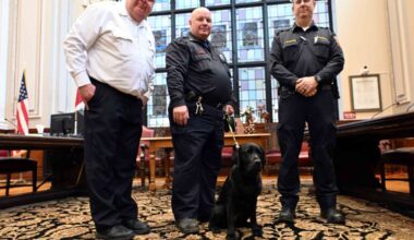 Reading Fire Department welcomes new arson dog Burnie
