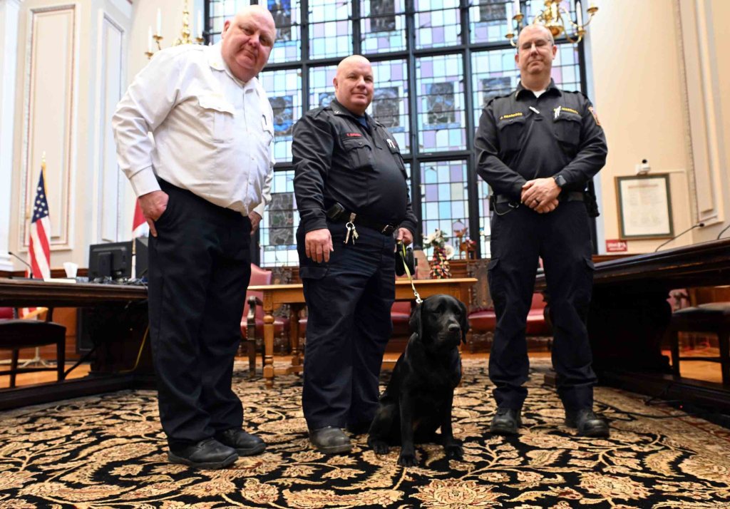 Reading Fire Department welcomes new arson dog Burnie