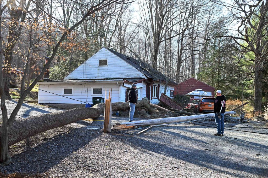 Exeter resident struck in her home by branch of fallen tree