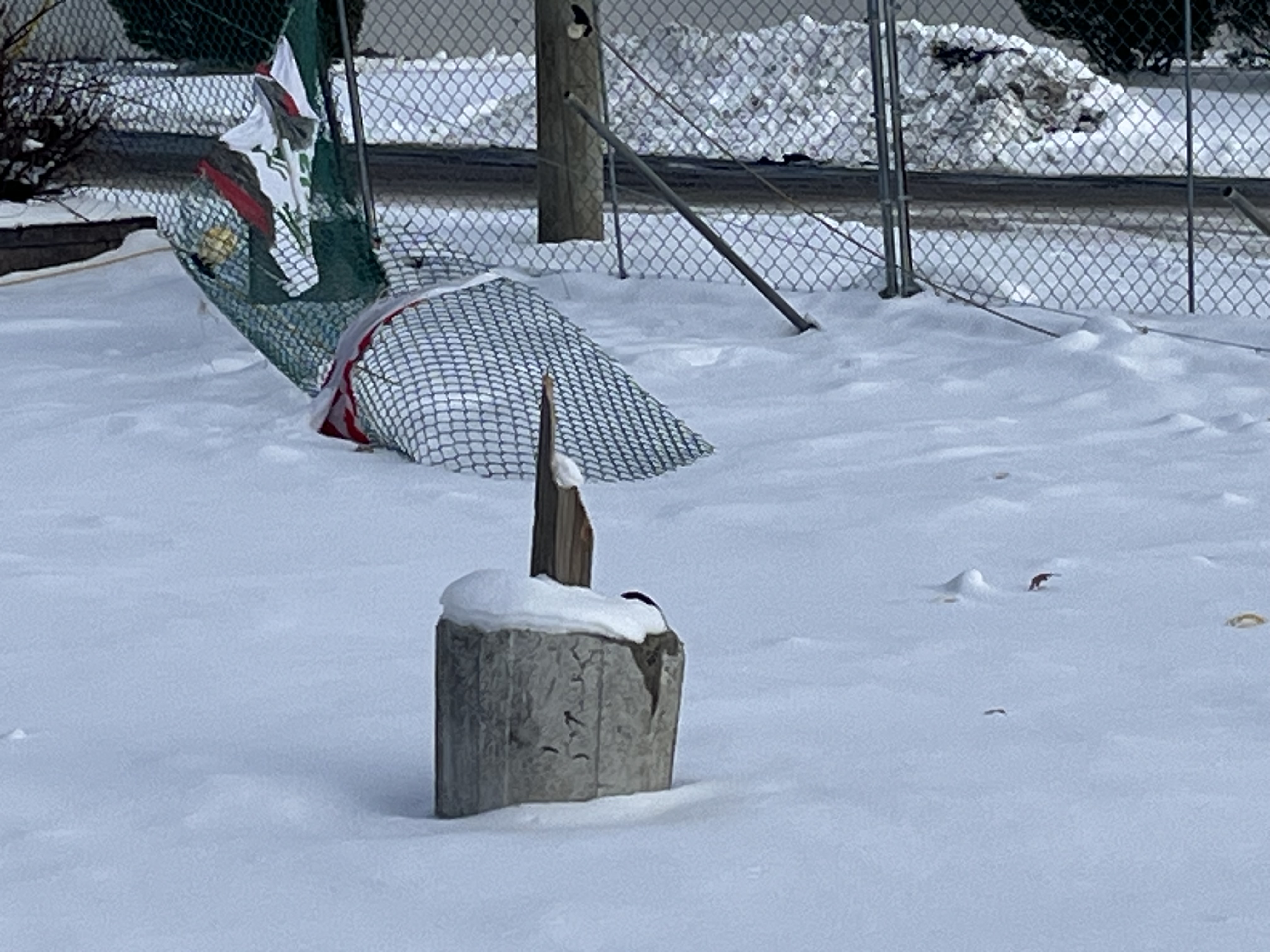 A truck caused thousands of dollars in damage when it...