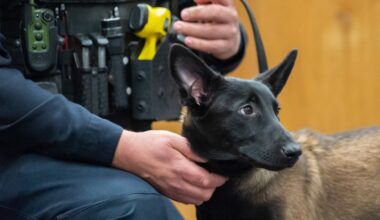 Scott Twp. welcomes K9 Redd honoring late Scranton Patrolman John Wilding