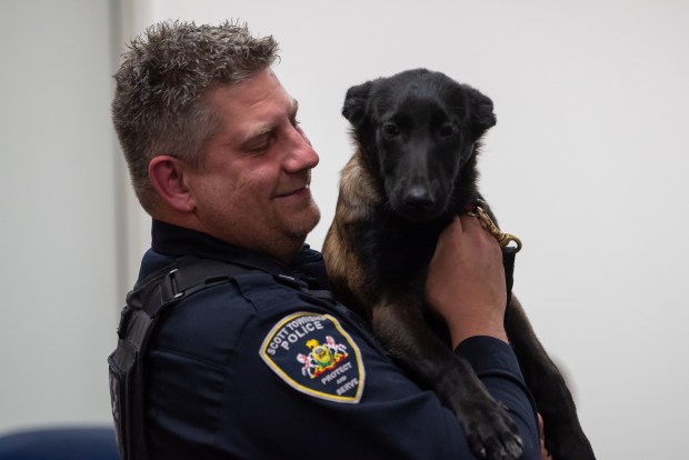 Scott Twp. Police Patrolman James Bassani holds up his new partner Redd during the Scott Twp. supervisors meeting at the Scott Twp. Municipal Building on Tuesday, Dec. 16, 2025. Patrolman Bassani lost his previous K-9 partner, Dave, in late October. He wasn't sure if he was ready to take on a new partner. But after hearing Mary Wilding's wish to donate a dog in her late son's memory, Bassani thought taking on a new canine would be a "great opportunity to honor a hero". (REBECCA PARTICKA/STAFF PHOTOGRAPHER)