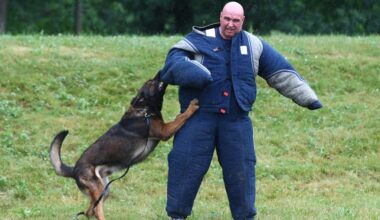 Scranton police mourn death of two K-9 officers within a week