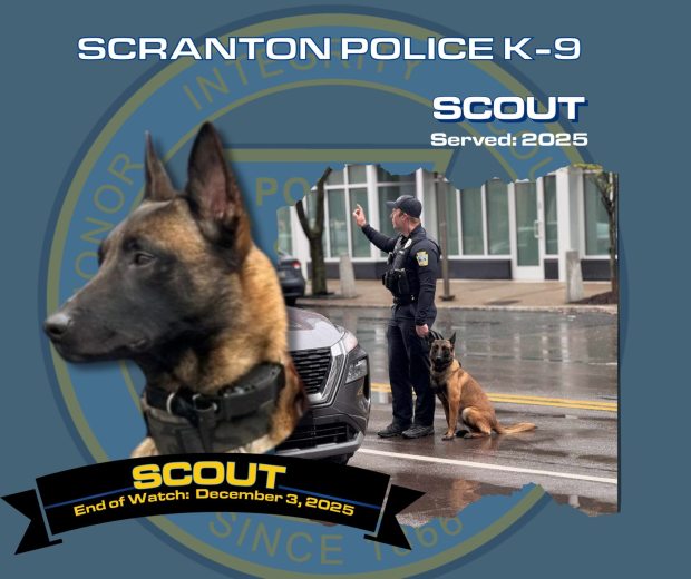 K9 Officer Scout (SUBMITTED)
