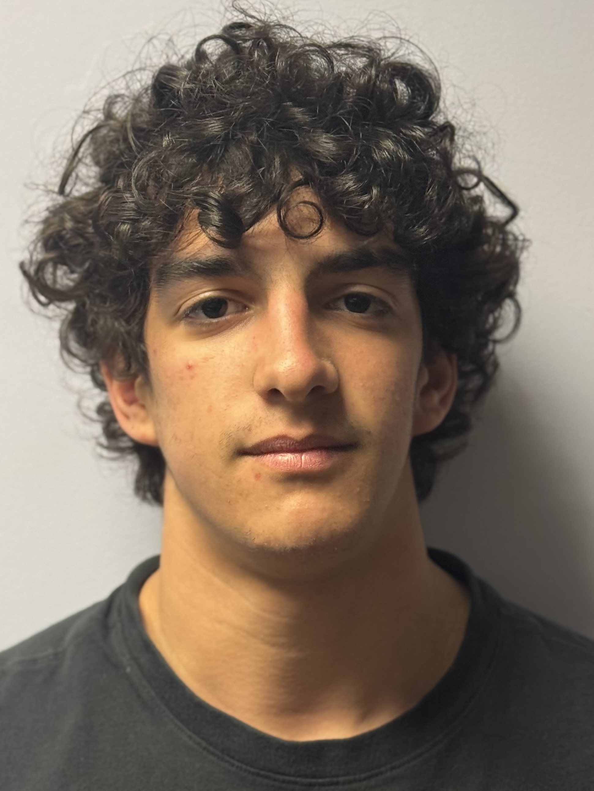 Giovanni Lomonaco, Wallenpaupack