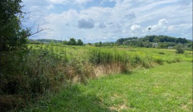 Judge upholds Newton Twp.'s denial of solar farm