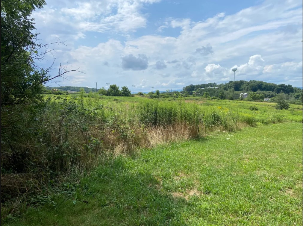 Judge upholds Newton Twp.'s denial of solar farm