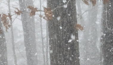 Central Pa. will ring in 2026 with a chance of snow and a warning about squalls