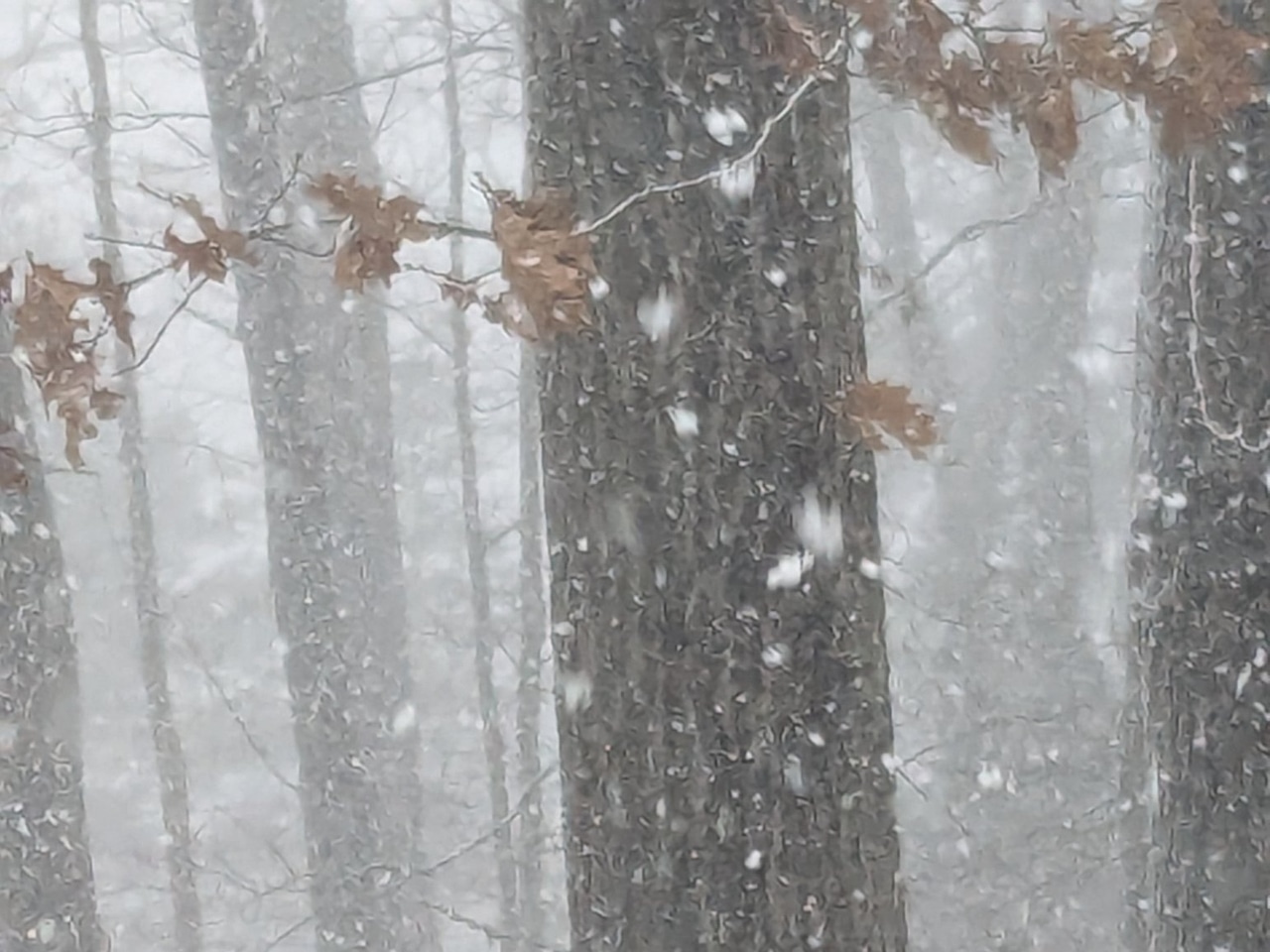 Central Pa. will ring in 2026 with a chance of snow and a warning about squalls