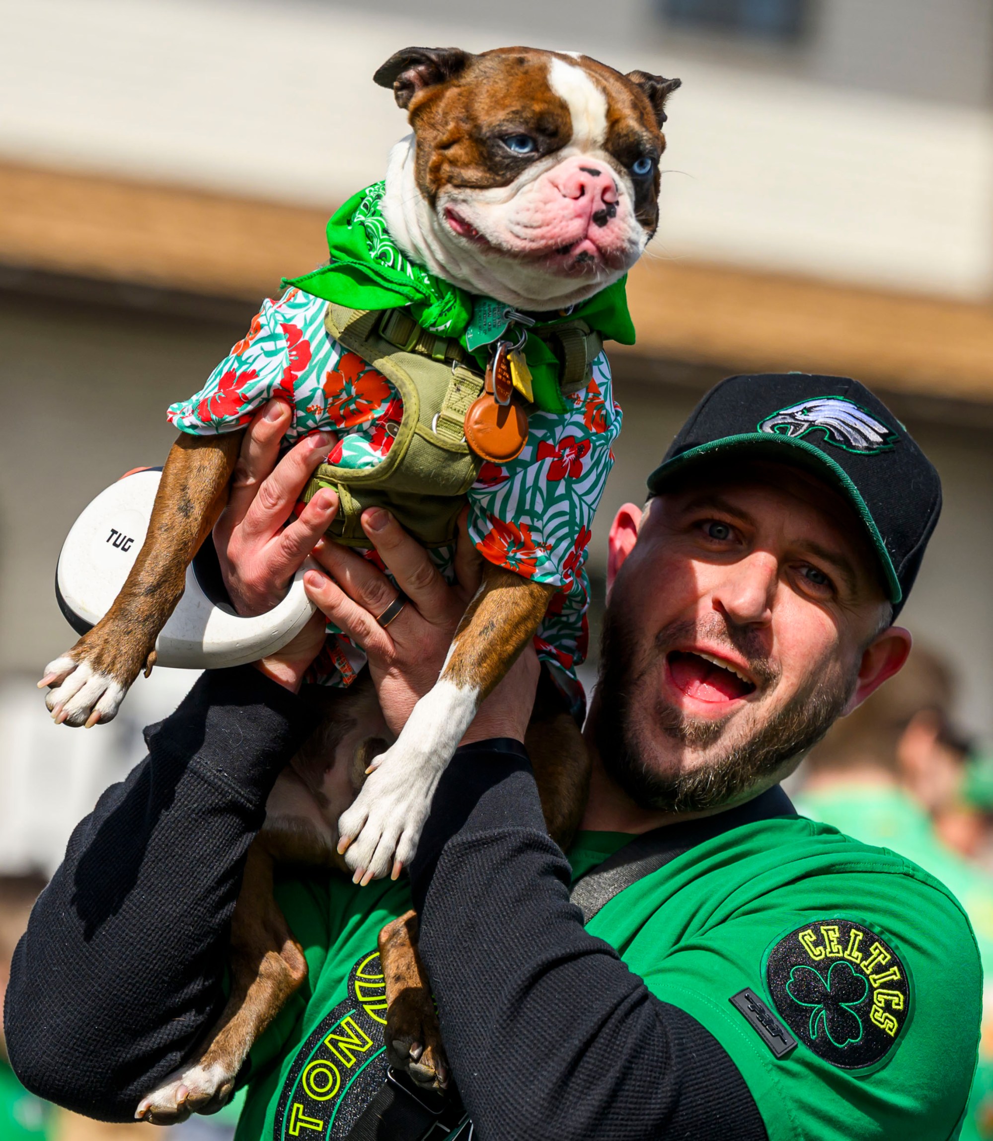 Dogs dress in festive costumes Sunday, March 23, 2025, during the 66th annual St. Patrick's Day Parade in Allentown. (April Gamiz/The Morning Call)