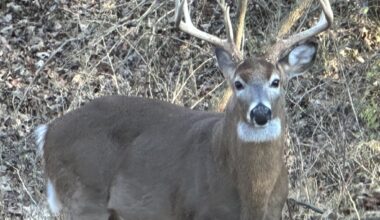 Pennsylvania hunters still sharing the harvest as deer season ends