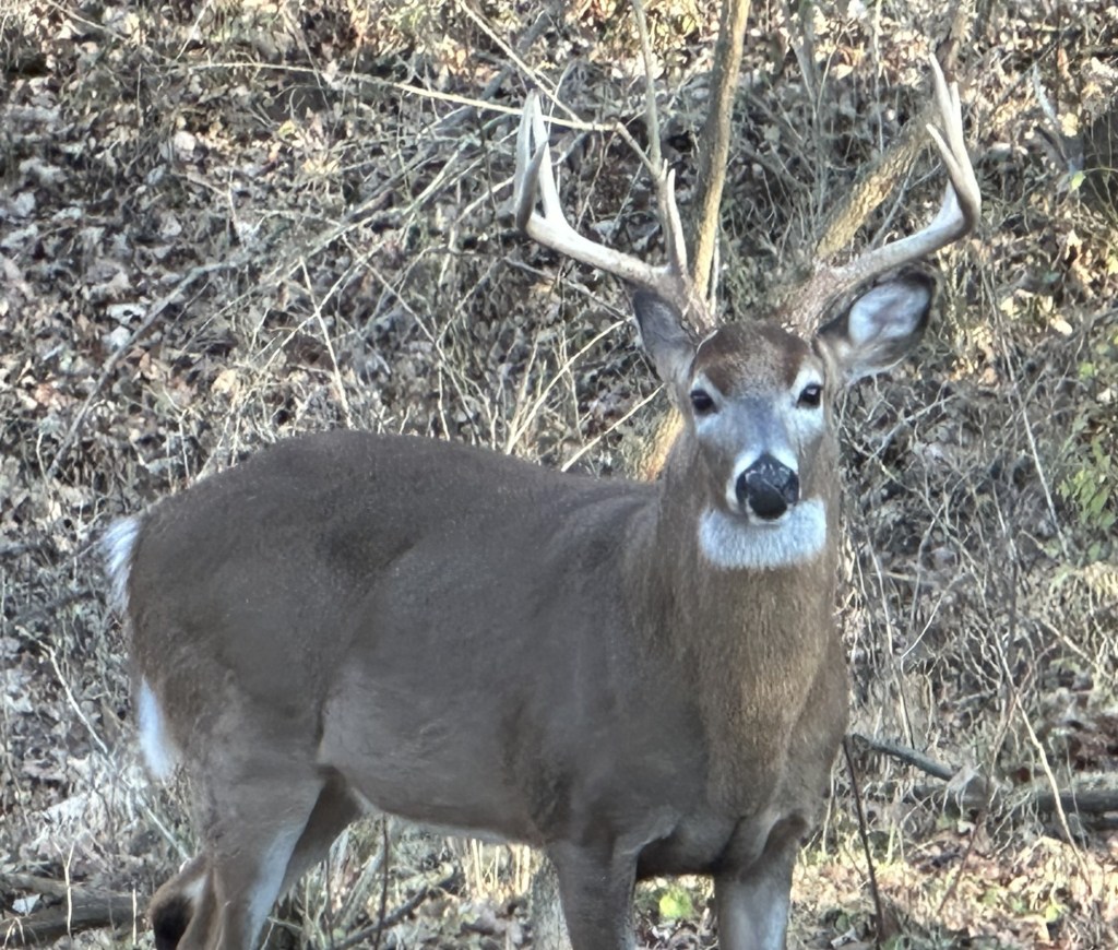 Pennsylvania hunters still sharing the harvest as deer season ends