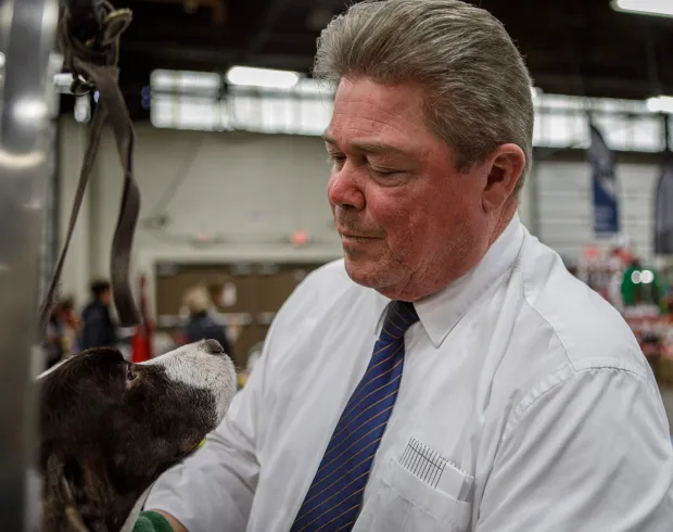Howard Huber of Oxford, Pa., bathes Cody, 7, an English springer spaniel during the Allentown Dog Show December 11, 2025, at the Agriplex in Allentown. Cody ranks first of his breed in the country. (Jane Therese/Special to The Morning Call)