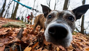 First Day hikes planned in Lehigh Valley