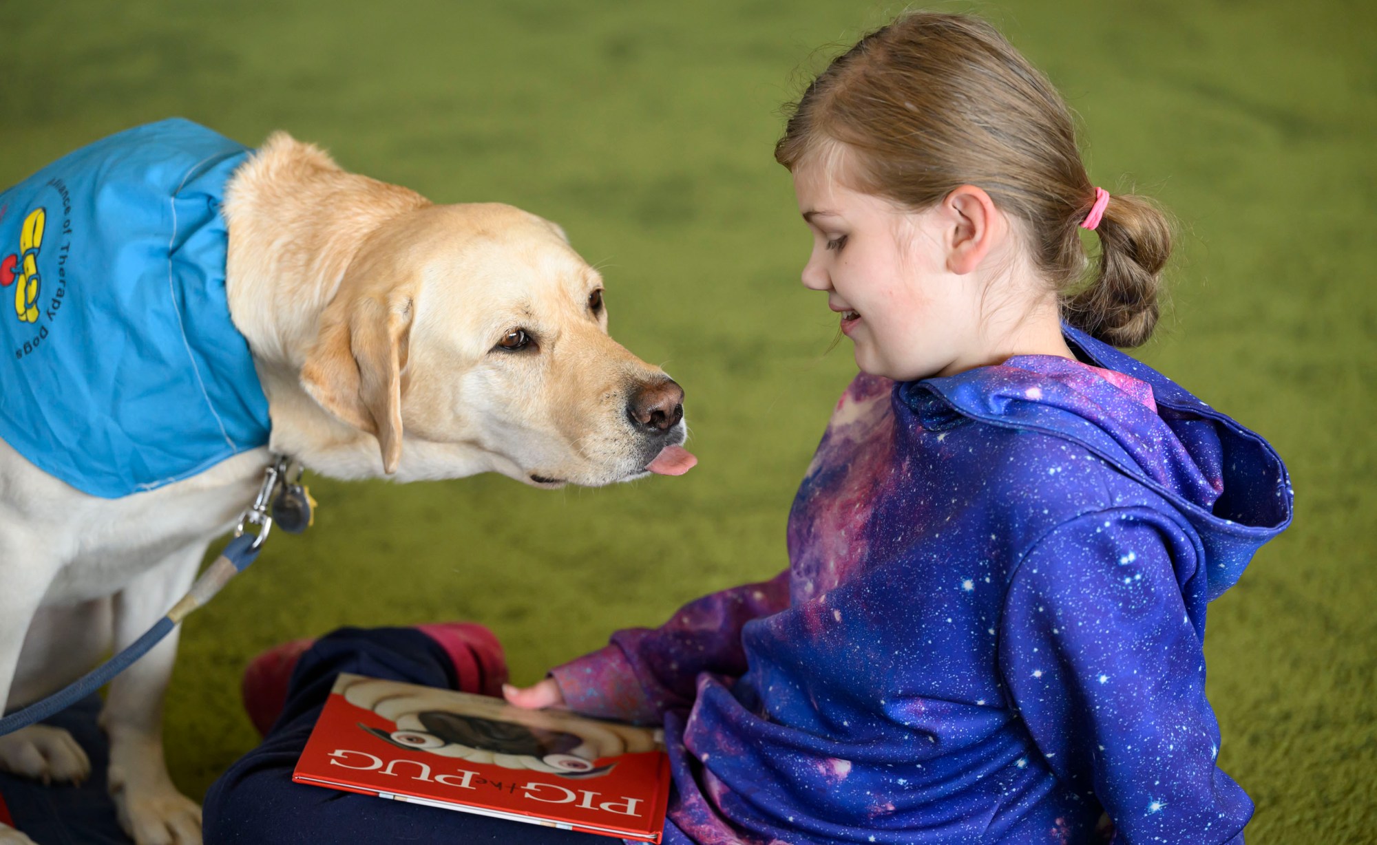 Emma Hogan, 10, of Bethlehem reads to Sami, an Alliance of Therapy Dogs dog, Friday, Jan. 3, 2025, during Read to a Therapy Dog at Bethlehem Area Public Library in Bethlehem.(April Gamiz/The Morning Call)