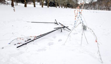 Homeowners should help catch Lights in Parkway vandals