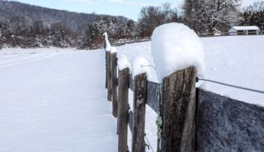 How much snow did the Lehigh Valley get? Totals from around the region