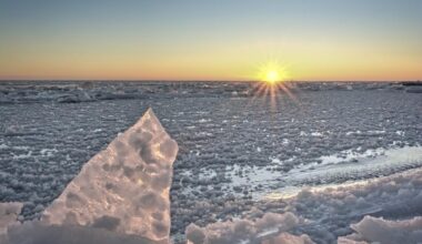Rare Lake Erie Seiche Reveals Hidden Treasures