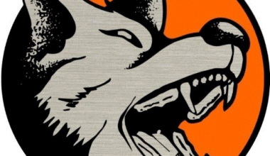 Joe Wagner's Big Game Can't Quite Lead Harbor Creek over Erie