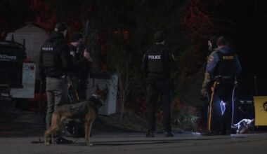 Man shot with an arrow, suspect in custody in Old Forge, police say