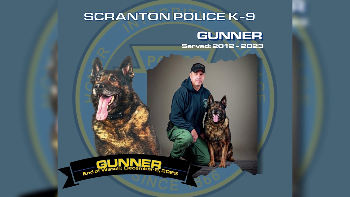 Scranton Police Department mourns loss of retired K-9 Officer Gunner