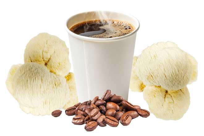 mushroom coffee