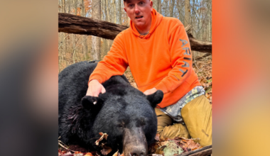 Pennsylvania hunter kills massive 717-pound black bear at state park
