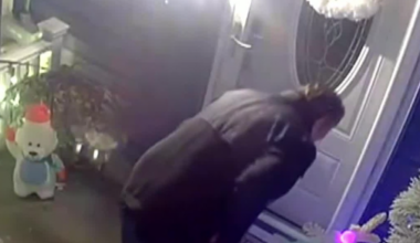 Latrobe police looking to identify person accused of stealing Christmas tree from front porch