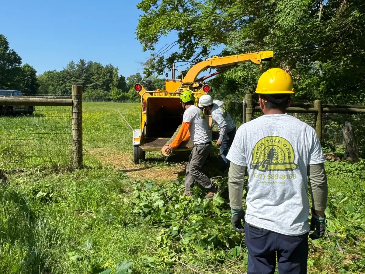 Rapid Tree Care Expands Philadelphia Operations with New South Philadelphia Location