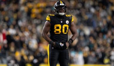 Pittsburgh Steelers TE Darnell Washington injured vs. Browns