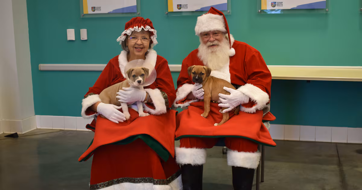 Humane Animal Rescue of Pittsburgh collecting pet supplies with holiday drive