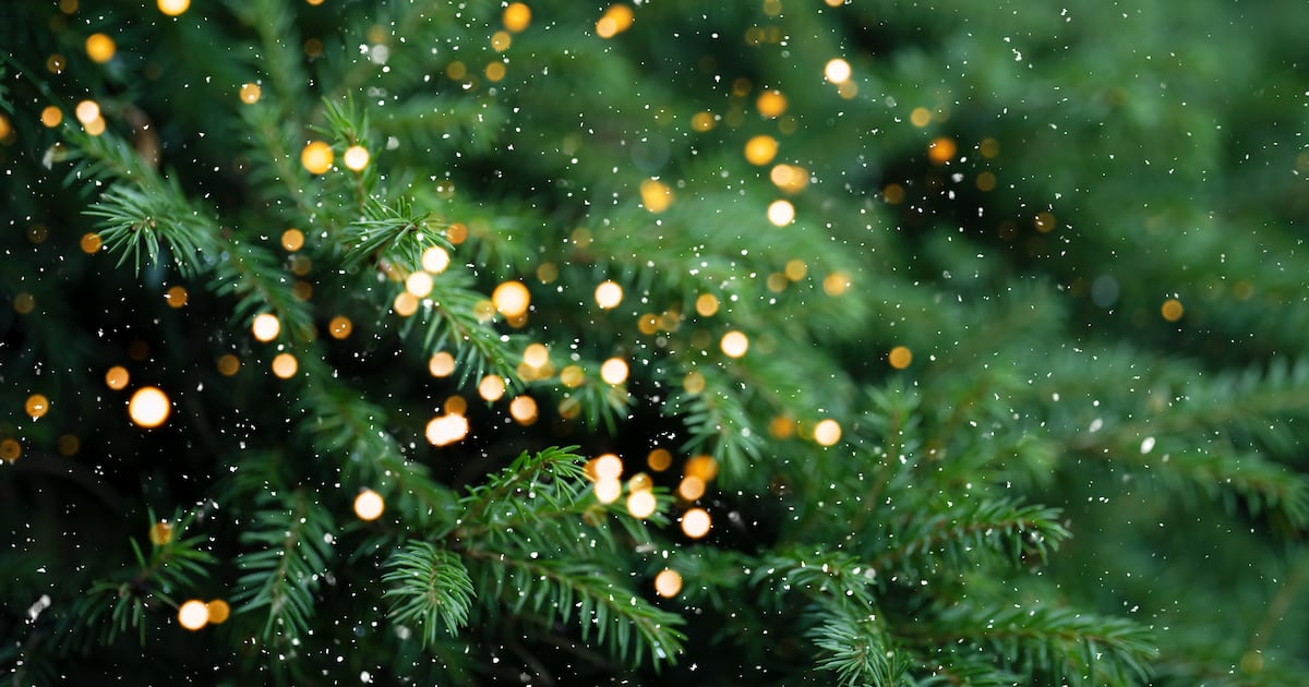 Here are your options to recycle Christmas trees in Pittsburgh – WPXI