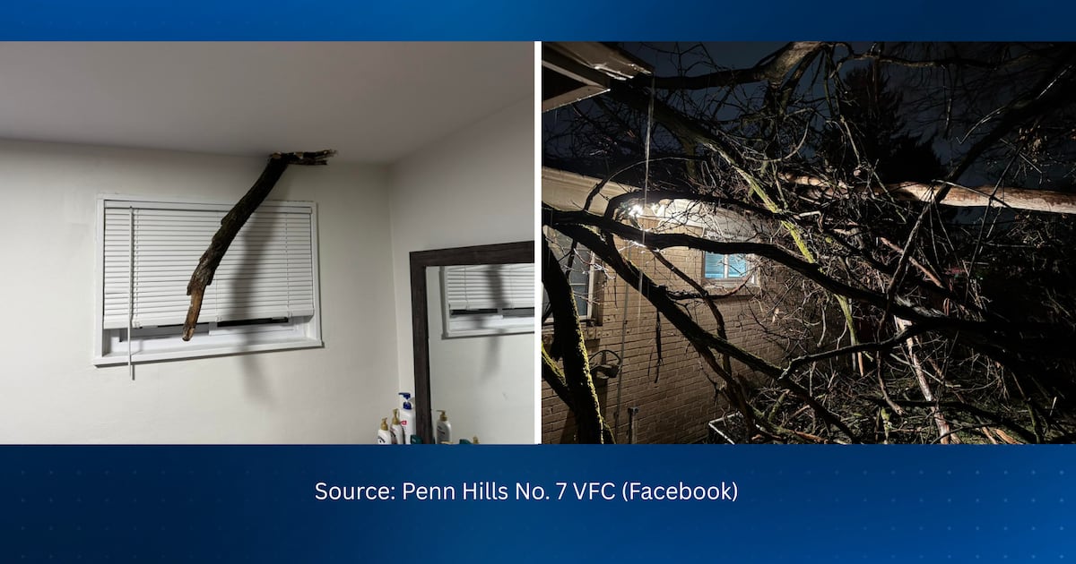 Tree falls onto occupied house in Penn Hills – WPXI