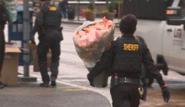 Allegheny County Sheriff’s Office spreads cheer through annual poinsettia giveaway – WPXI