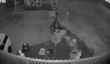 Shaler Township police ask residents to check their cameras after person spotted in yard – WPXI