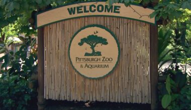 Pittsburgh Zoo events postponed because of water main break