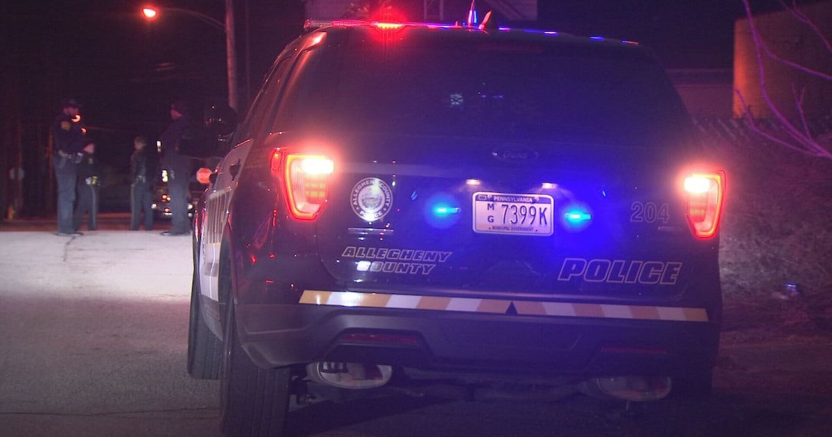 Allegheny County Police share statistics on crime in 2025 – WPXI