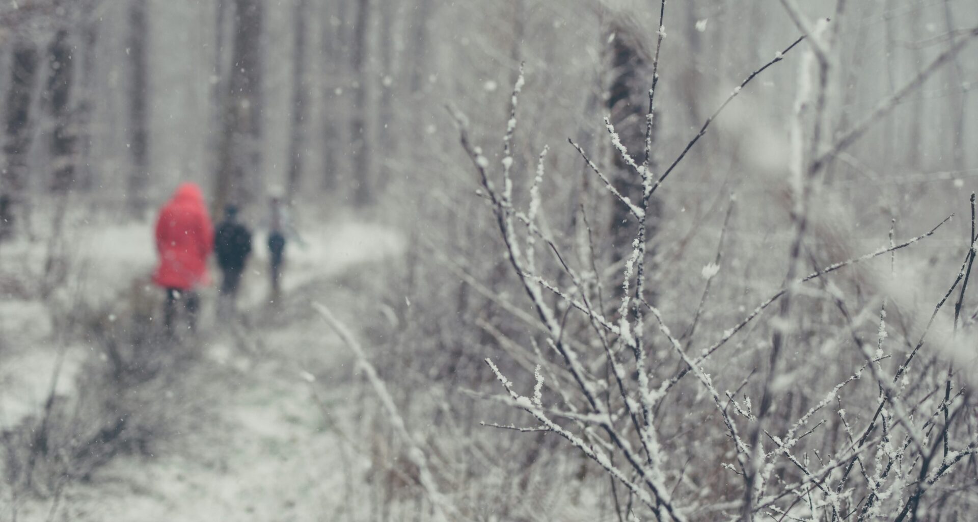 Join Berks County Parks & Recreation for January 2026 in the Parks