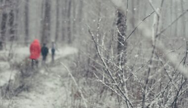 Join Berks County Parks & Recreation for January 2026 in the Parks