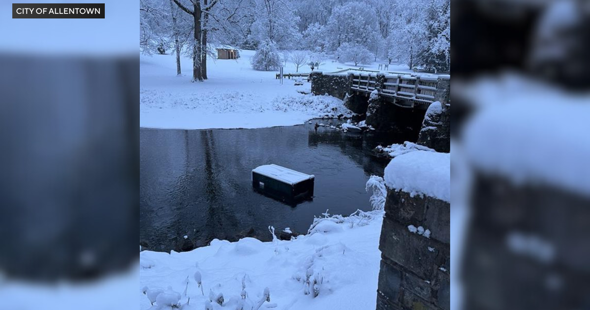 Allentown's Lights in the Parkway holiday show closed Sunday due to "significant vandalism"