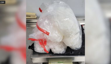 Federal officers in Pennsylvania seize nearly 7 pounds of meth bound for Netherlands