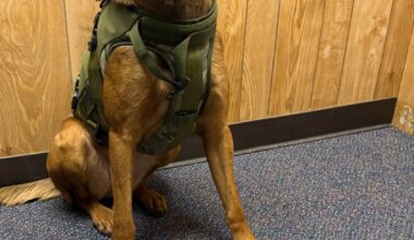 State Police make felony drug arrests on Thruway following Bethlehem traffic stop