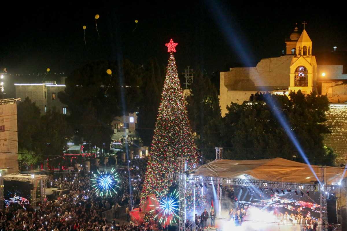 Christmas trees return to Bethlehem