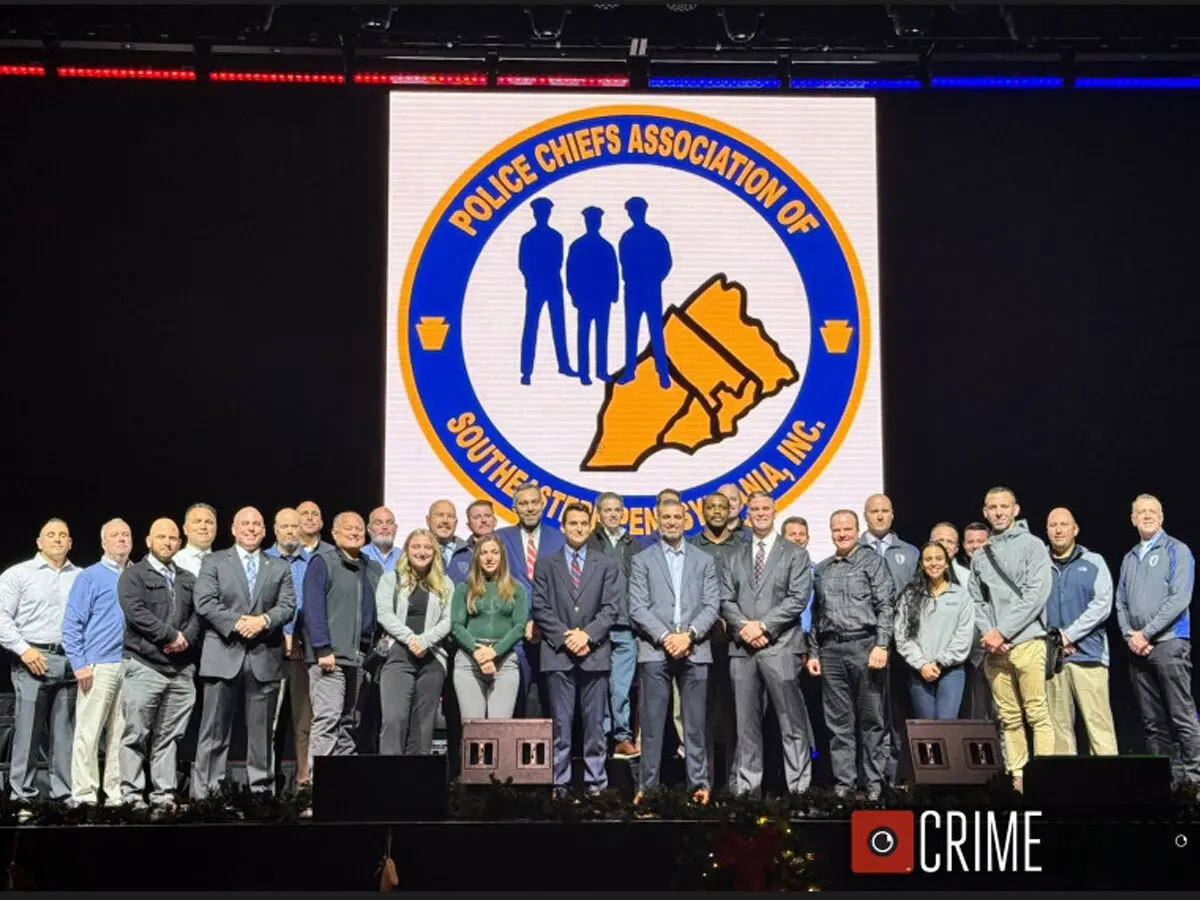 Dino Ciliberti's profile picture