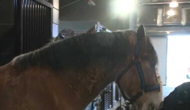 Pennsylvania State Police open new horse stable at Hershey academy