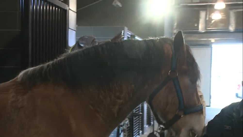 Pennsylvania State Police open new horse stable at Hershey academy