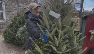 Real or fake? What climbing holiday tree prices mean for Philadelphia families this season