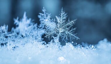 How Much Snow Fell In The Lower Merion Area? See Weekend Storm Totals Here