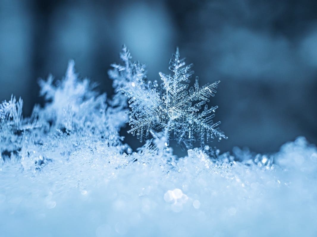 How Much Snow Fell In The Lower Merion Area? See Weekend Storm Totals Here