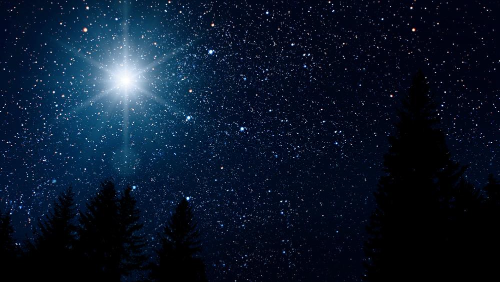Following the Star to Bethlehem: Who Were the Magi Seeking King of the Jews?